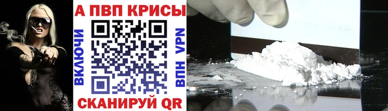 A PVP СК КРИС Салехард
