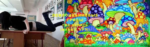 метамфетамин Аркадак